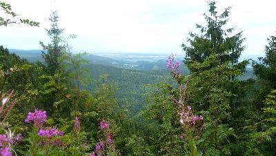 276.JPG 276.JPG